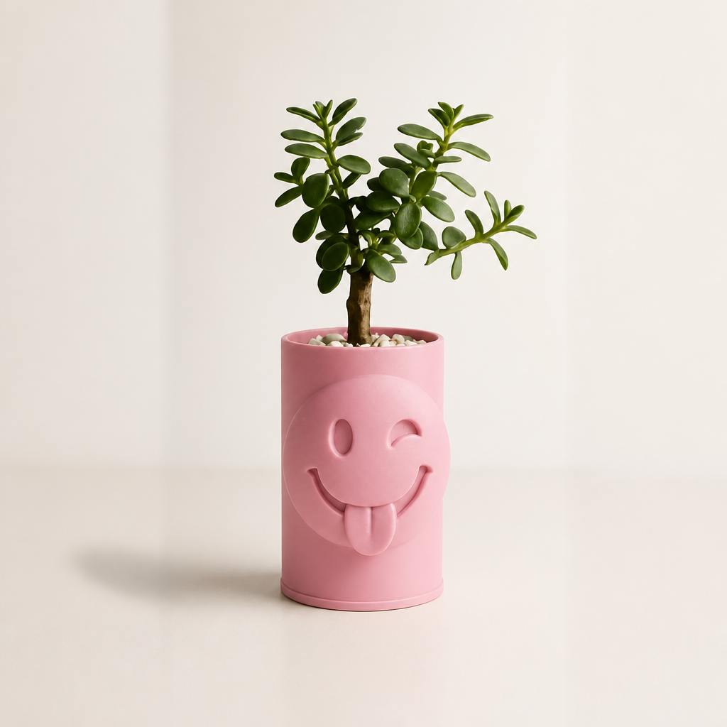 3D Baskı Emoji Planter - Göz Kırpan Yüzlü Sukulent Saksısı-Pembe