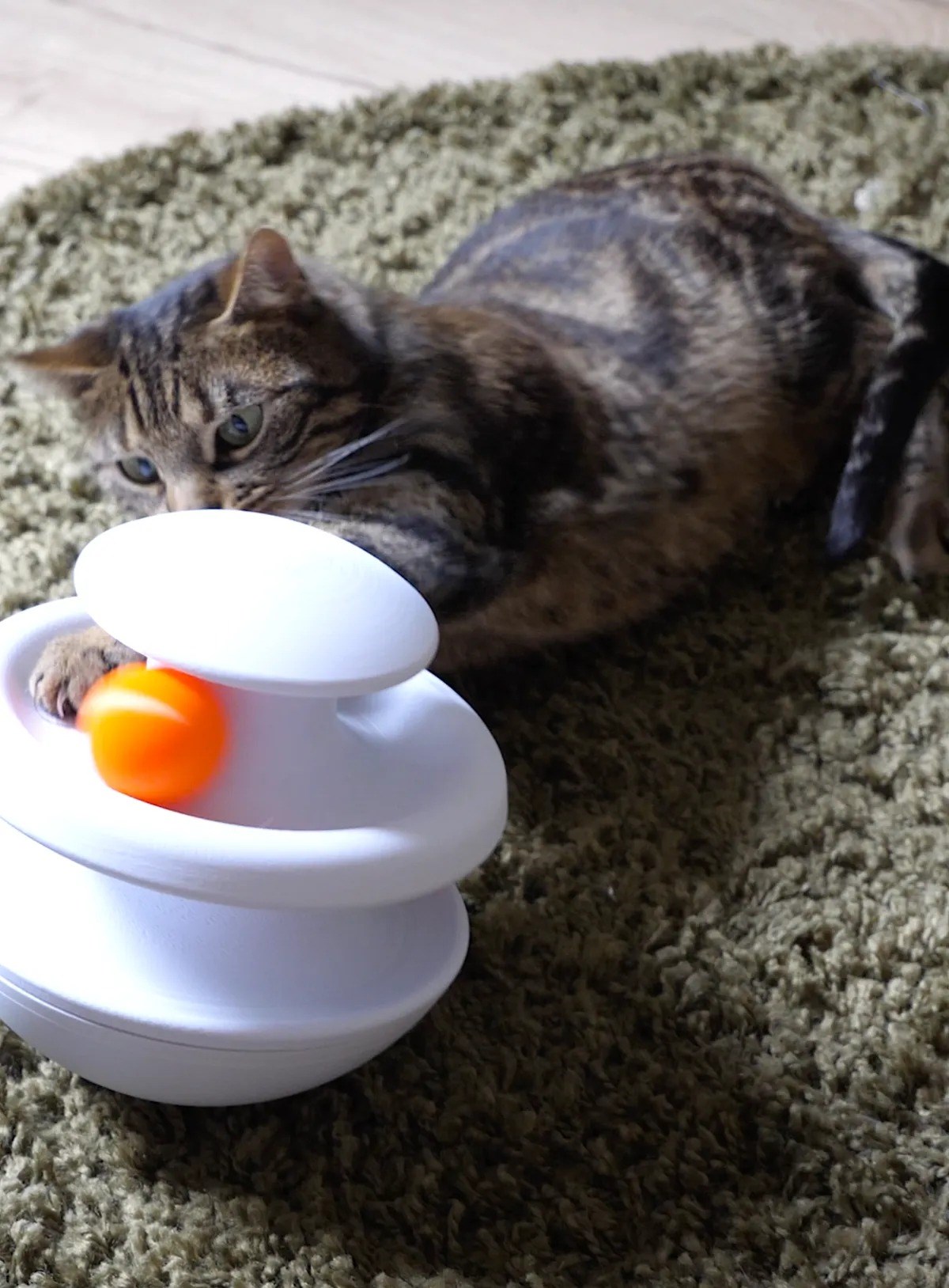 3D Baskı İki Toplu Kedi Oyuncağı Kule Etkileşimli Kedi Oyun Kulesi Toplu Parkur - Beyaz