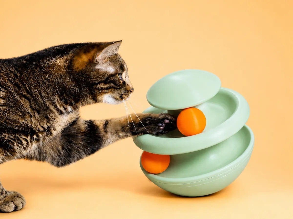 3D Baskı İki Toplu Kedi Oyuncağı Kule Etkileşimli Kedi Oyun Kulesi Toplu Parkur - Yeşil