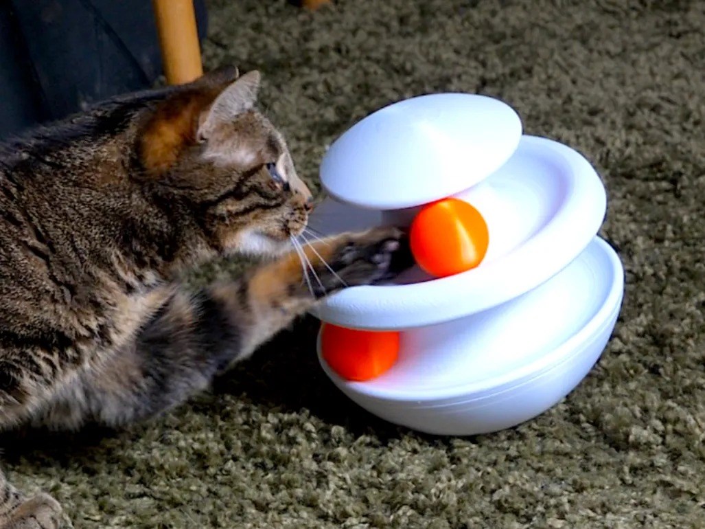 3D Baskı İki Toplu Kedi Oyuncağı Kule Etkileşimli Kedi Oyun Kulesi Toplu Parkur - Beyaz