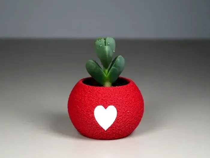 3D Baskı Kalpli Mini Saksı - Kırmızı Beyaz Dekoratif Saksı