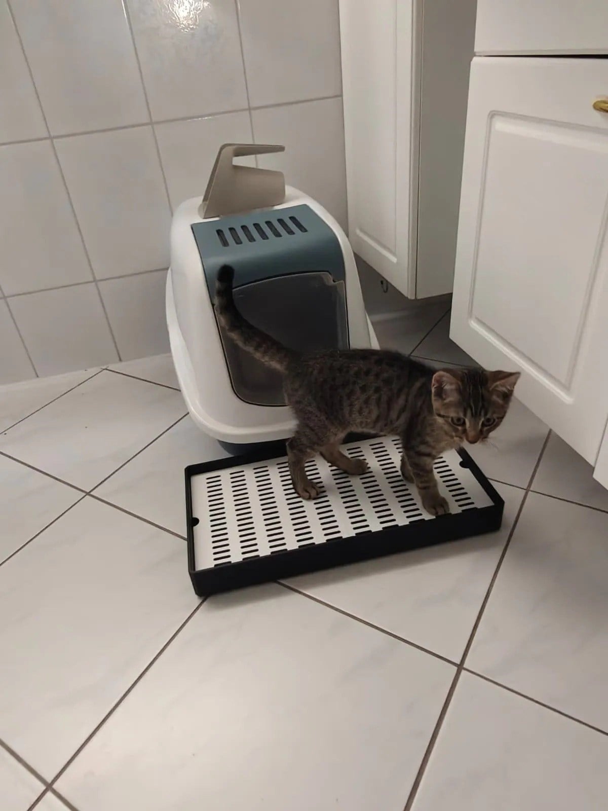 3D Baskı Kedi Kumu Tutucu Mat Kedi Tuvaleti Önü Kum Toplayıcı Delikli Paspas Siyah Beyaz