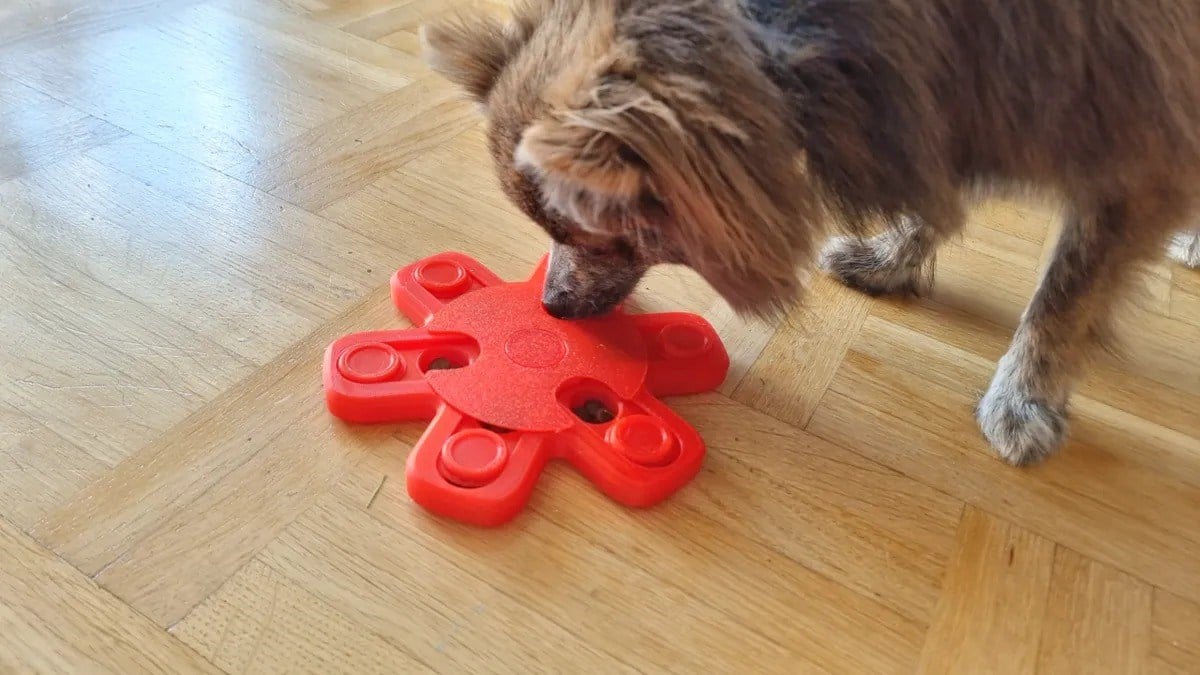 3D Baskı Ödül Mamalı Köpek ve Kedi Zeka Oyuncağı Akıllı Ödül Puzzle Kırmızı