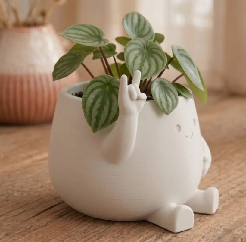 3D Baskı Smiley Face Planter - Gülümseyen Karakterli Saksı-Beyaz