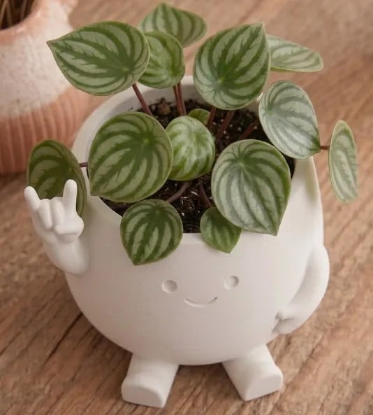 3D Baskı Smiley Face Planter - Gülümseyen Karakterli Saksı-Beyaz