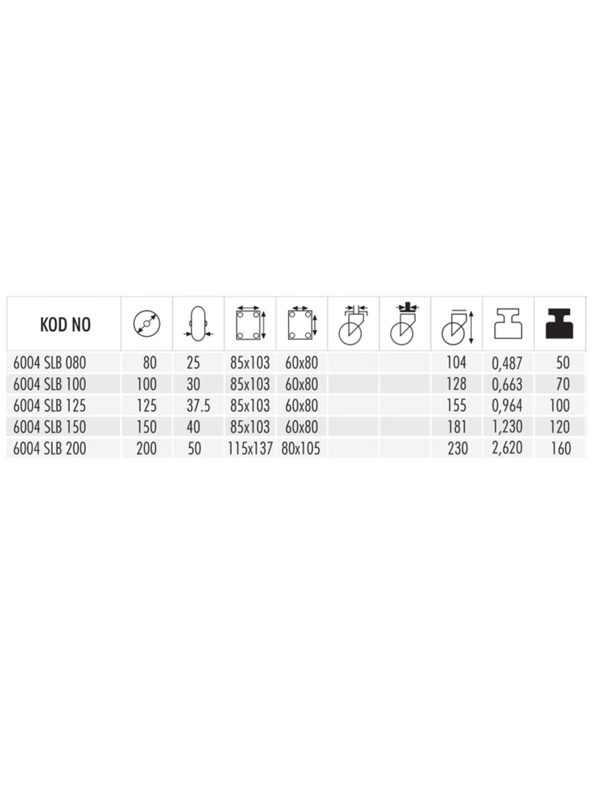 6004 SLB 100  Sabit Saç Jantlı Teker