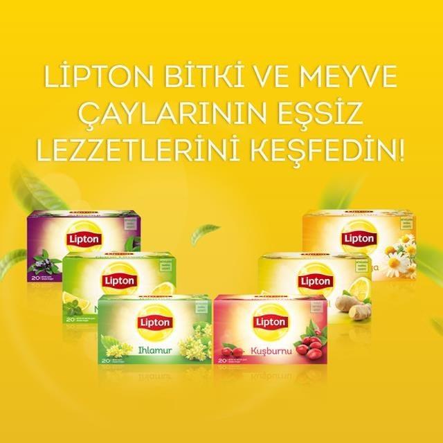 Adaçayı 20 li
