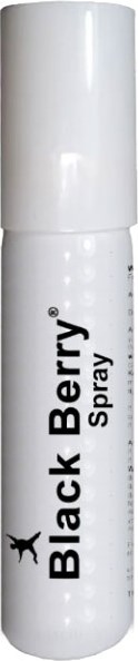 Black Berry Erkeklerin En Yeni Gecik.tiricisi Sprey