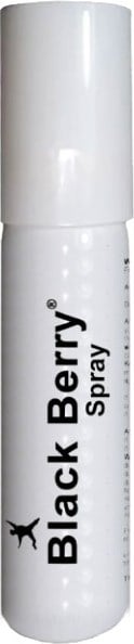 Black Berry Erkeklerin En Yeni Geciktiricisi Sprey