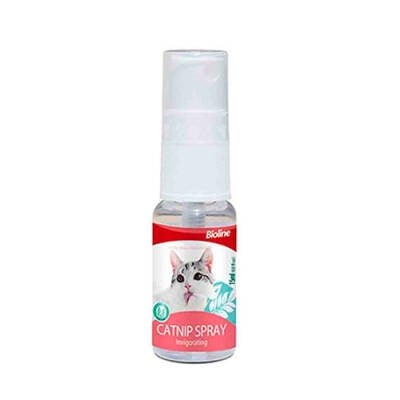 Catnip Kedi Otu Spreyi 15 Ml