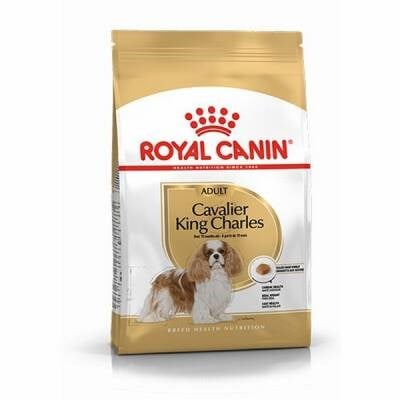 Cavalier King Charles Adult Yetişkin Köpek Maması 3 Kg