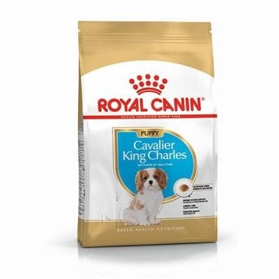 Cavalier King Charles Puppy Yavru Köpek Maması 1,5 Kg