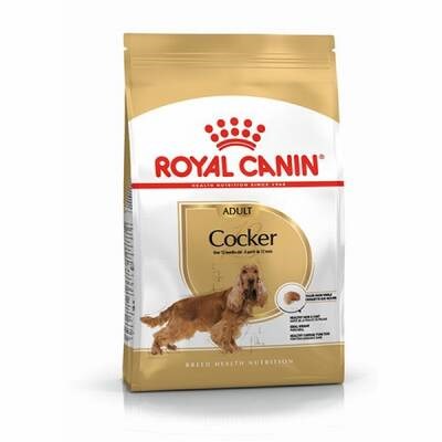 Cocker Spaniel Adult Yetişkin Köpek Maması 3 Kg