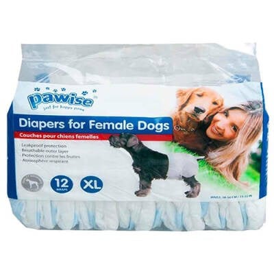 Dişi Köpek Alt Bağlama Pedi XL 12 Adet