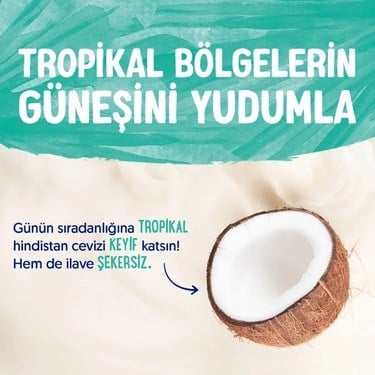 Hindistan Cevizi Sütü 2x1 L Vegan Laktozsuz Besin