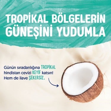 Hindistan Cevizi Sütü 4x1 L Vegan Laktozsuz Besin
