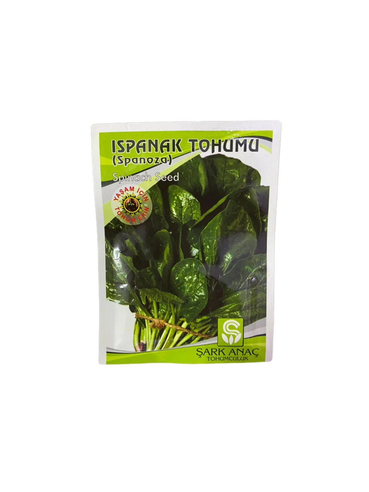 ISPANAK TOHUMU