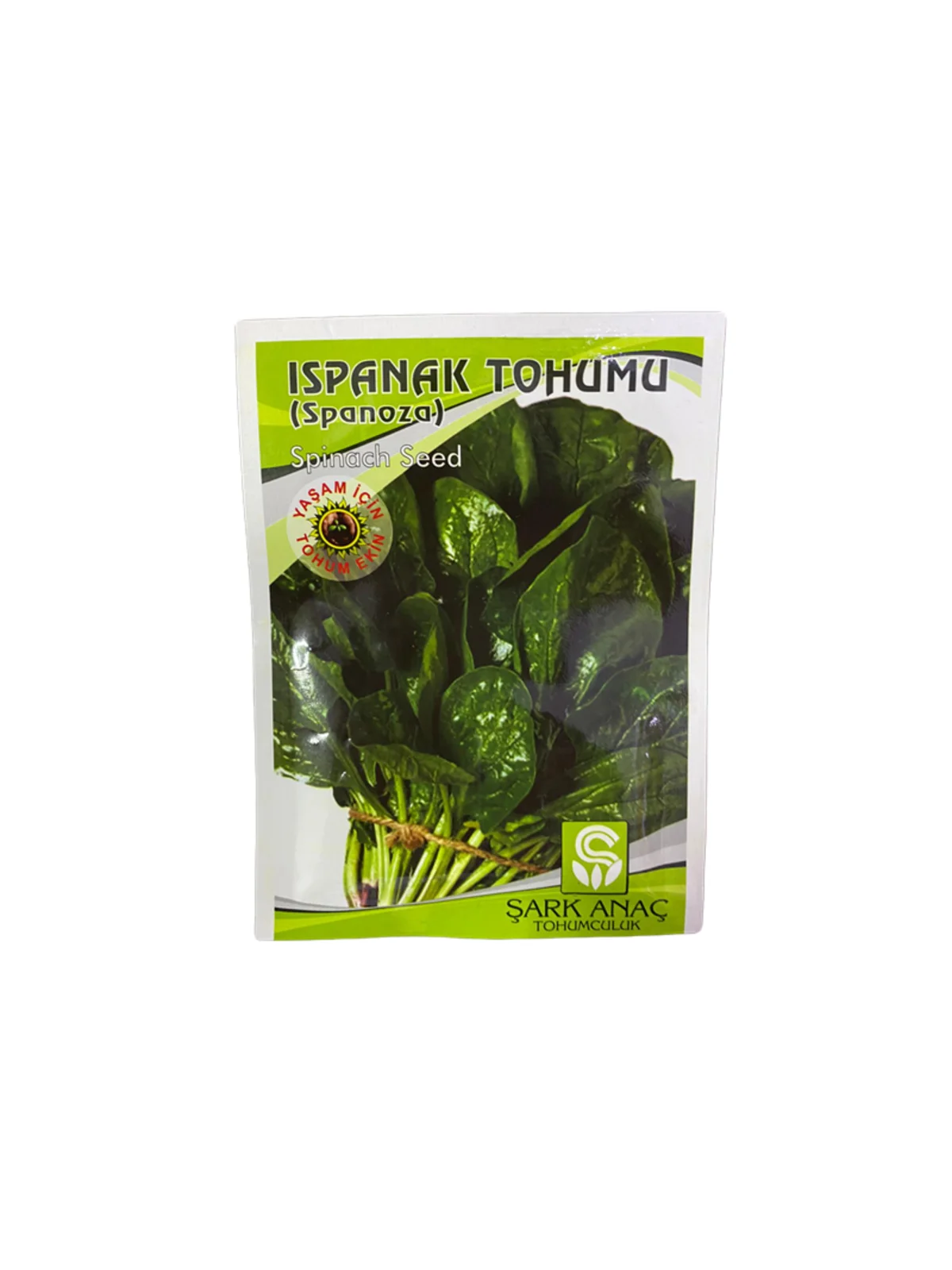 ISPANAK TOHUMU