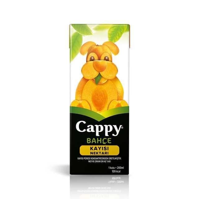 Kayısı Meyve Suyu 200 Ml.