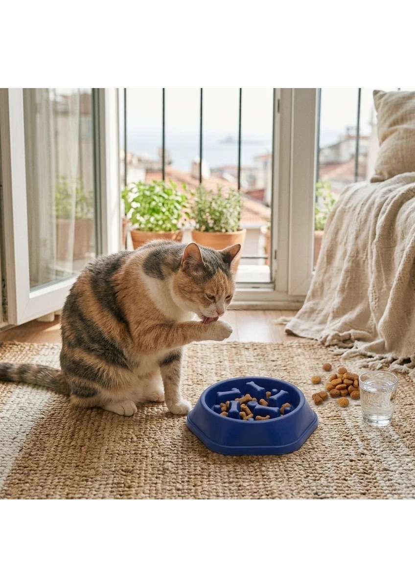 Kedi Köpek Yavaş Besleyici Mama Kabı - Anti-Boğulma & Sağlıklı Beslenme - LACİVERT