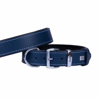 Konfor Deri Köpek Boyun Tasması Royalblue 3,5x52 60 Cm