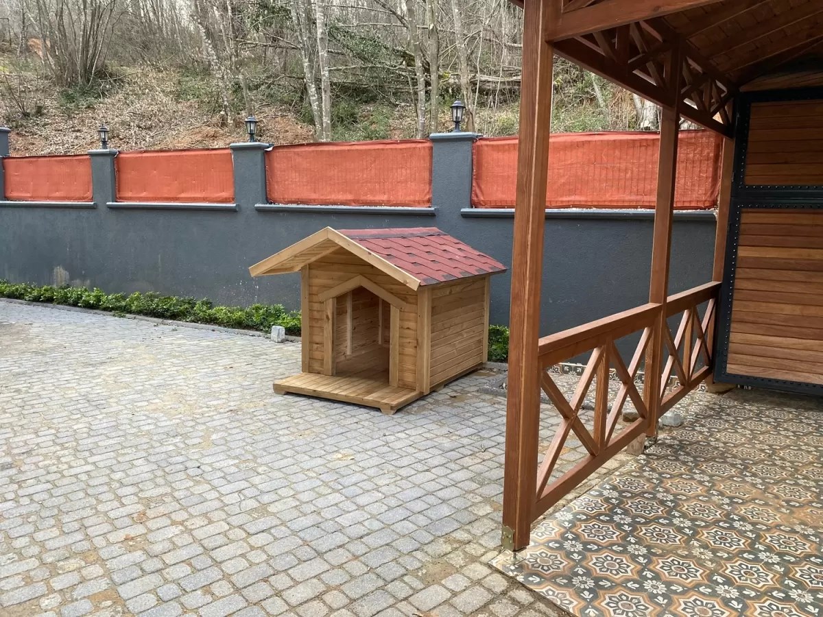 Köpek Kulübesi