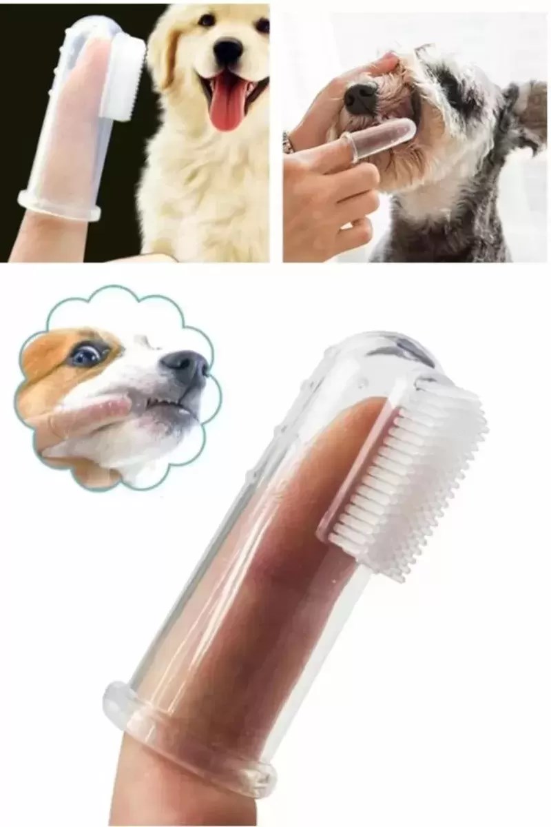 Kutulu Silikon Parmak Diş Kaşıyıcı Dil Temizleyici Fırçası Bebek Kedi Köpek Hayvanlar