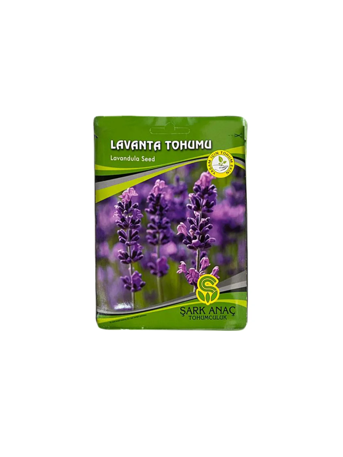 LAVANTA TOHUMU