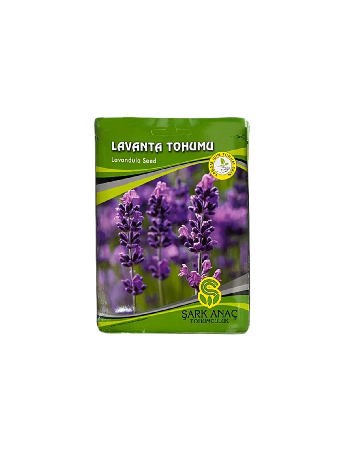 LAVANTA TOHUMU