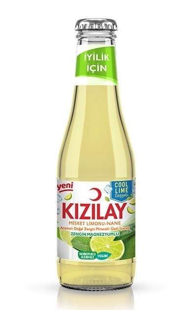 Maden Suyu Lime Nane 200ml
