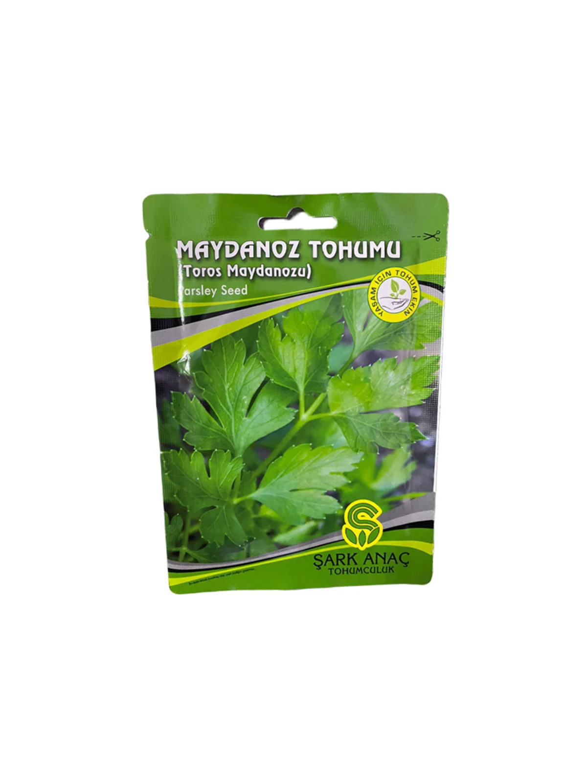 MAYDANOZ TOHUMU