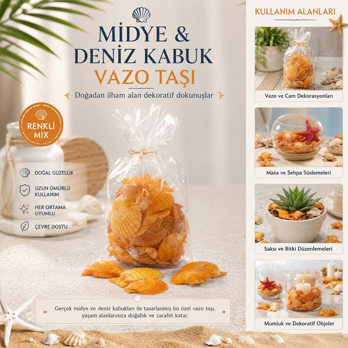 Midye ve Deniz Kabuk Vazo Taşları