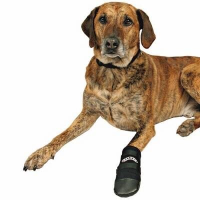 Neopren Köpek Patiği 2 Adet Siyah XXXL
