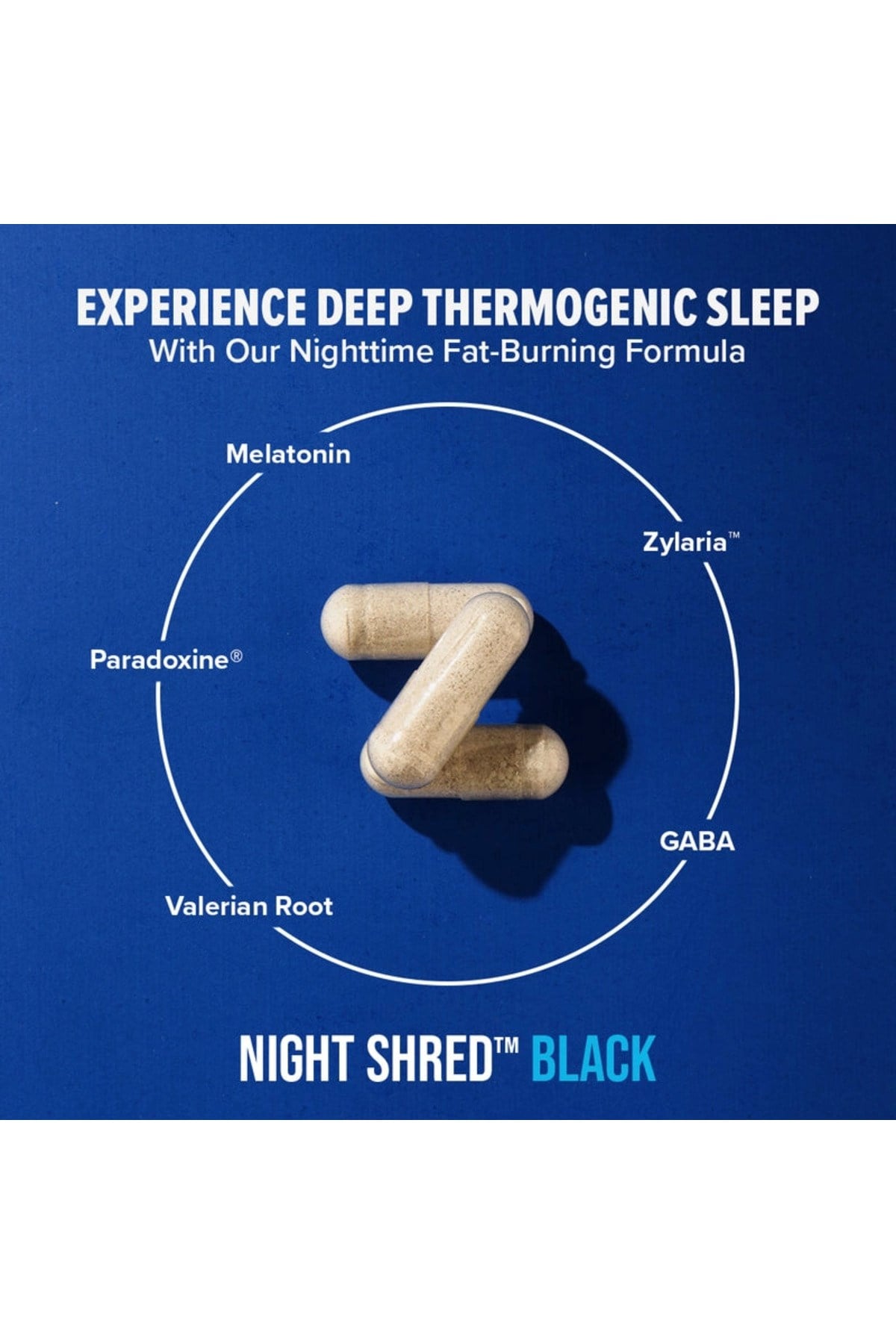 Night Shread Time Fat Burner Fitlik Ürünü 60 Lı