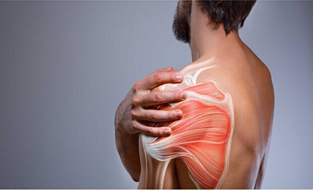 Painorub Synthaflex Ultra Kas Eklem Bel Boyun ve Kremi 100 ml + Muscle Painn-Relief Cream 50 ml