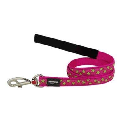 Pembe Üzerine Lime Yıldızlı Köpek Uzatma Tasması Large 25 Mm 1,2 Mt