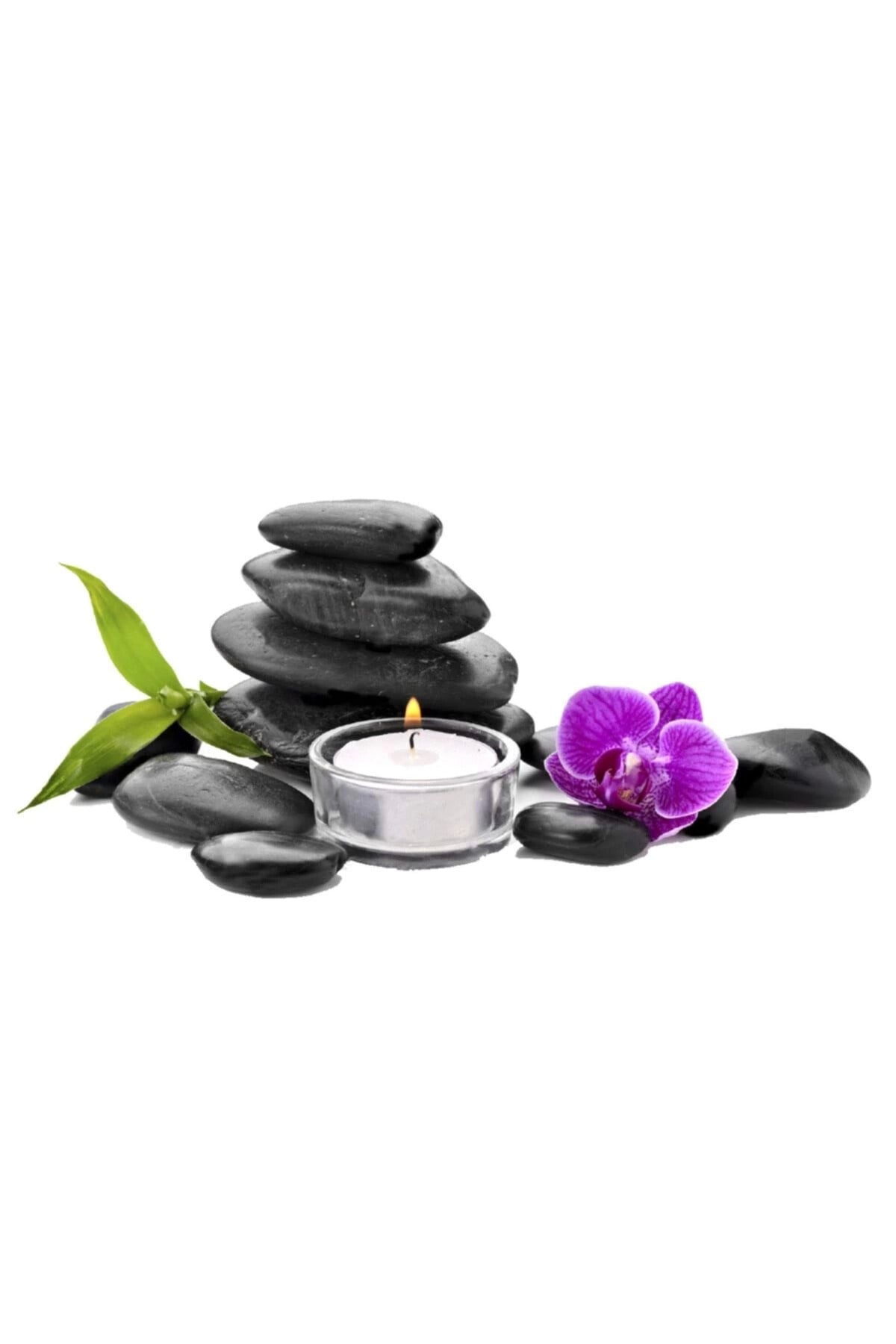 Playboy Massage Oil 50ml Aromasız Masaj Yağı 2 Adet
