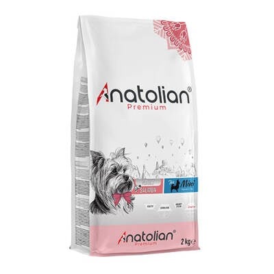 Premium Somonlu Mini Irk Yetişkin Köpek Maması 2 Kg