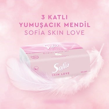 Pudra Kokulu Mendil 100'LÜ Paket 12 Adet