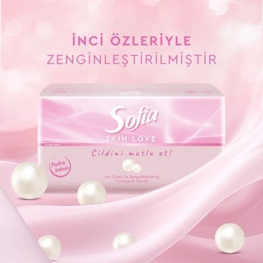 Pudra Kokulu Mendil 100'LÜ Paket 12 Adet