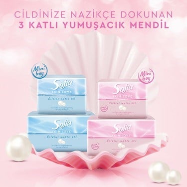 Pudra Kokulu Mendil 100'LÜ Paket 12 Adet