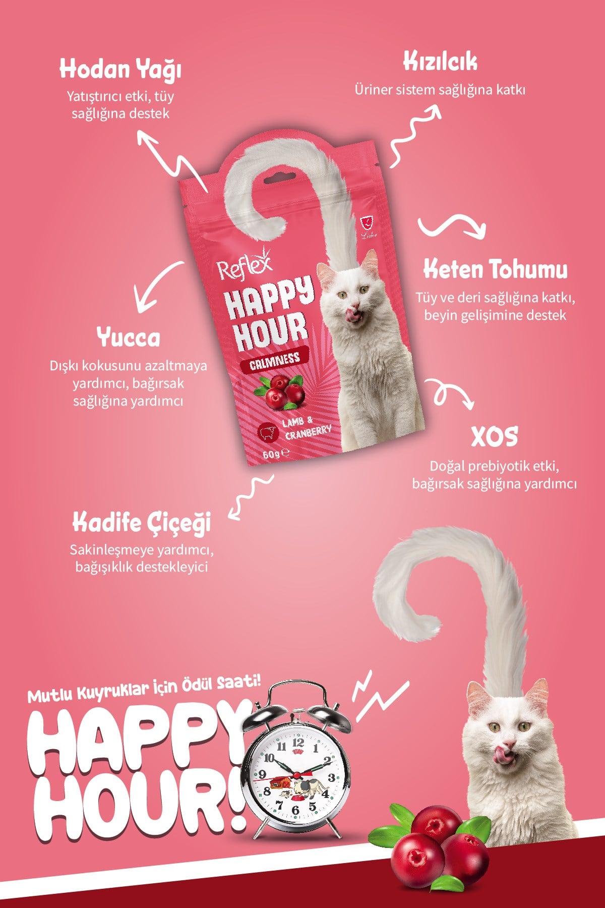Reflex Happy Hour Sakinleşmeyi Destekleyici Kedi Ödül Maması 60 gr