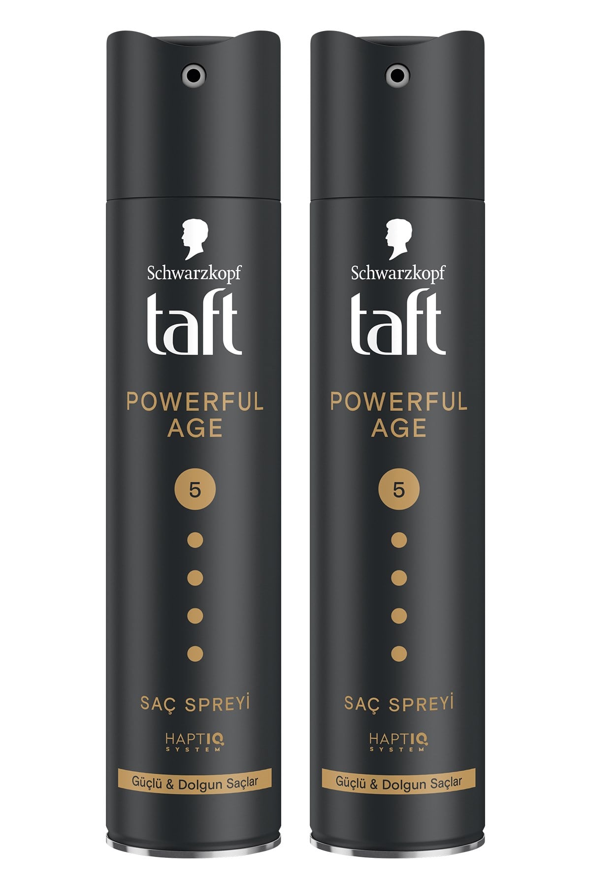 SAÇ SPREYİ 250 ML POWER EXPRESS