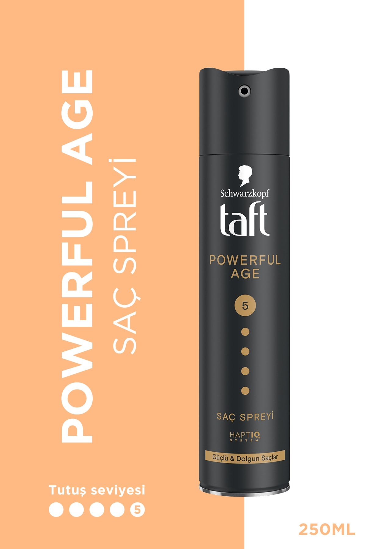 SAÇ SPREYİ POWER CASHMERE 250 ML
