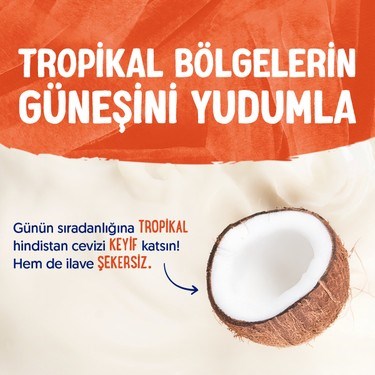 Şekersiz Hindistan Cevizi Sütü 4x1 L Vegan Laktozsuz Besin
