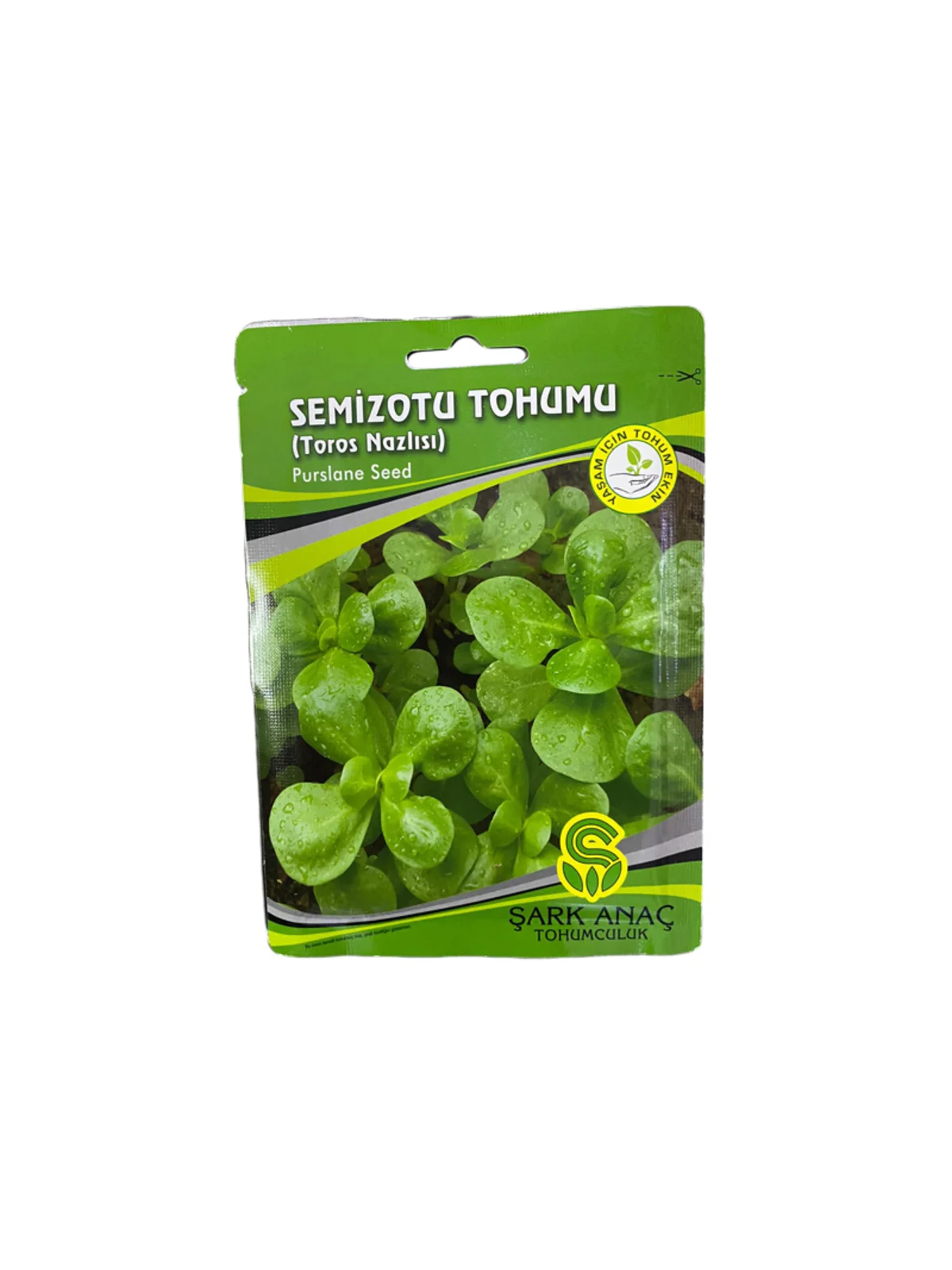SEMİZOTU TOHUMU
