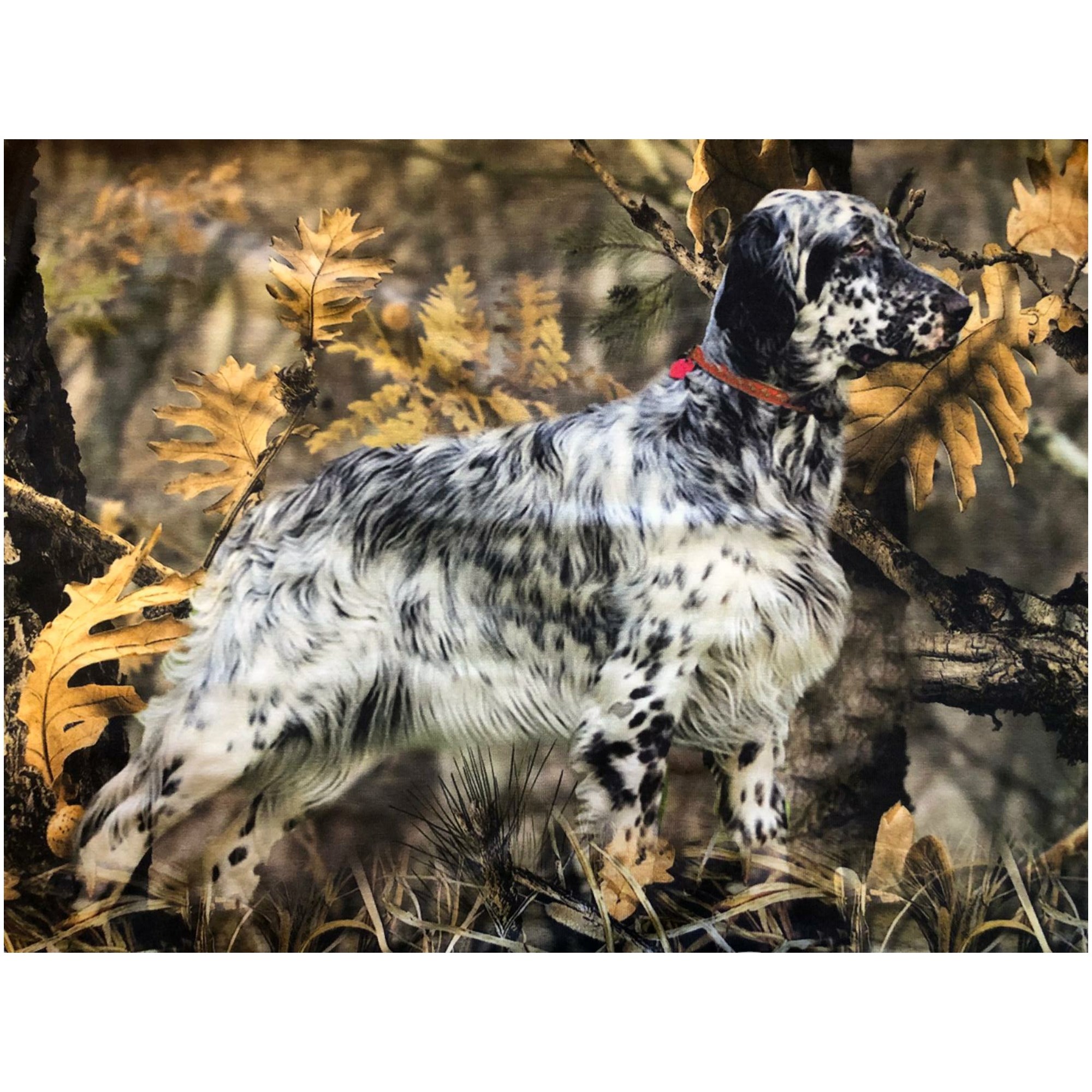 Setter Orman Desen Uzun Kollu Sweatshirt - M