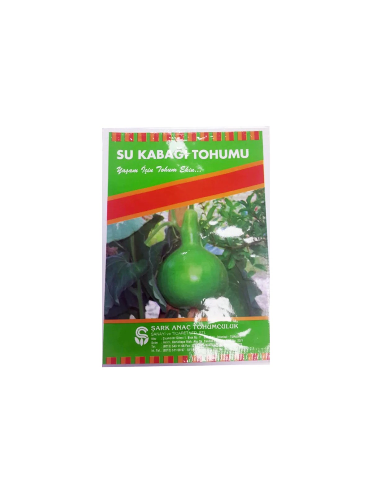 Süs Kabağı Tohumu