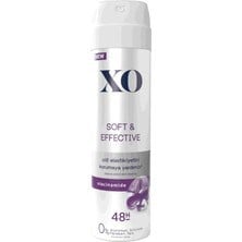 Xo Deodorant Body Splash & Daisy Spark Kadin 150ML
