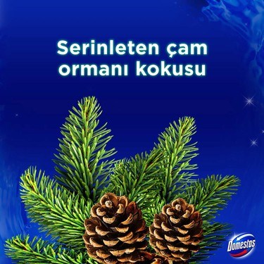 Yoğun Parfümlü Çam Ormanı ile WC Blok Ürünü